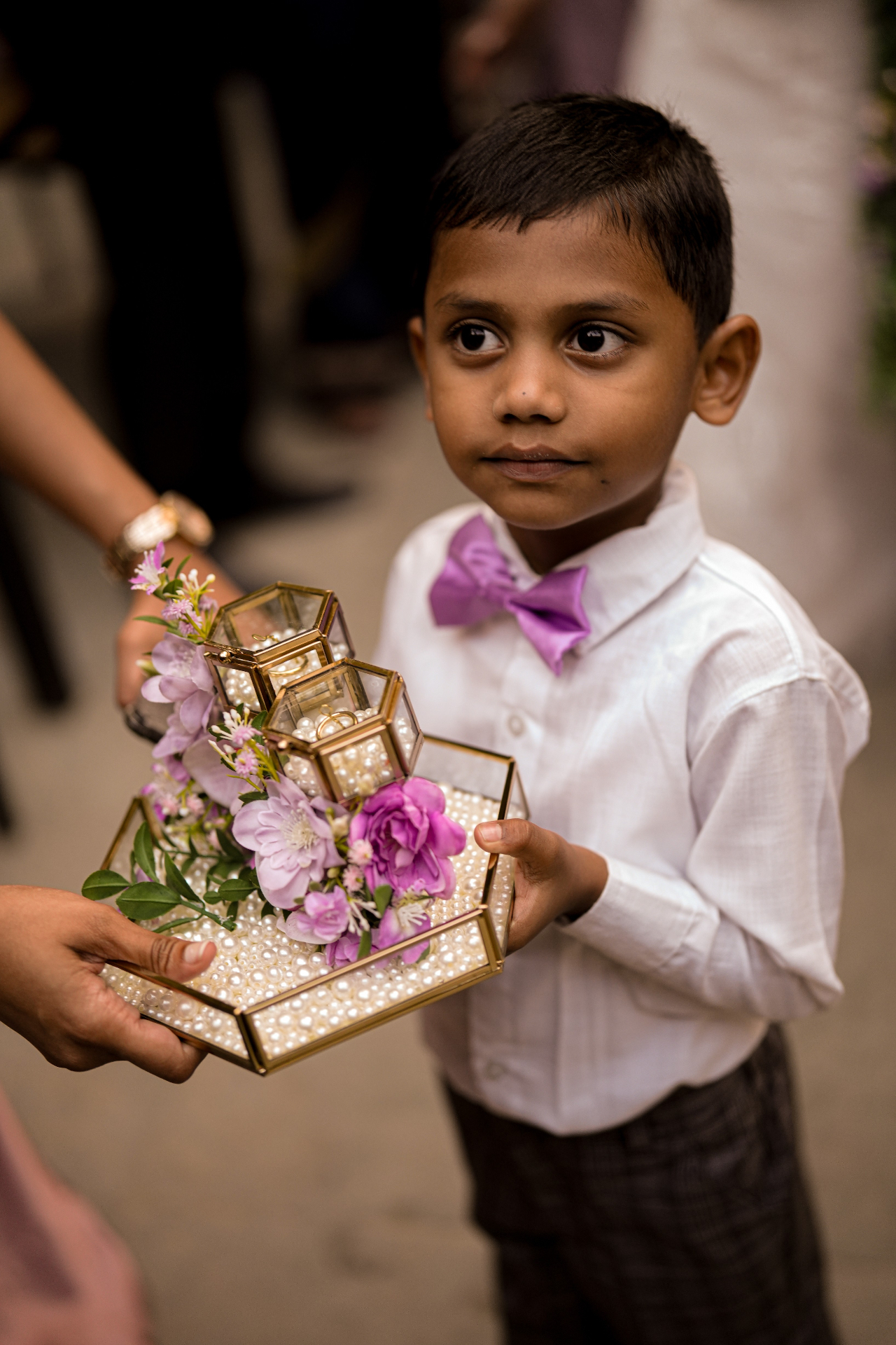 Young ring bearer in a lilac bow tie carrying the rings
